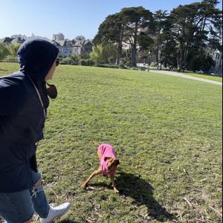 Playing with Canine Companion at Alamo Square