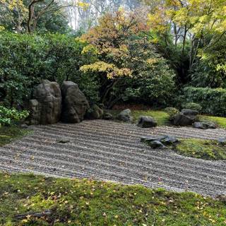 Serene Scene in a Japanese Garden