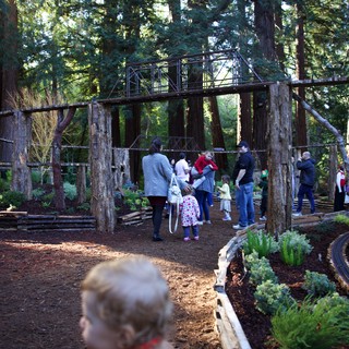 Pacific Northwest adventure park or nature center