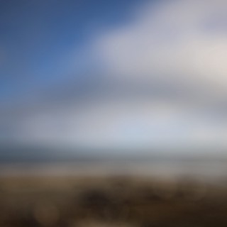 Misty Coastal Dawn at Drakes Beach Elephant Seal Colony