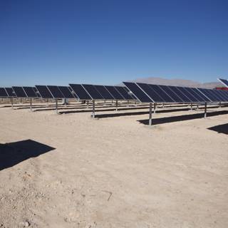 Harnessing the Sun's Energy in the Desert