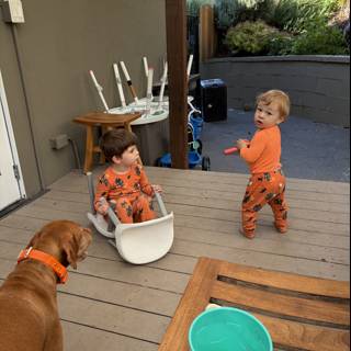 Morning Mischief on the Porch