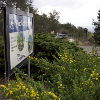 Public Entrance Sign Along Centennial Drive with Yellow Wildflowers