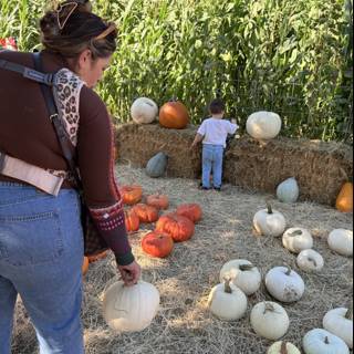 Harvest Moments in Santa Rosa