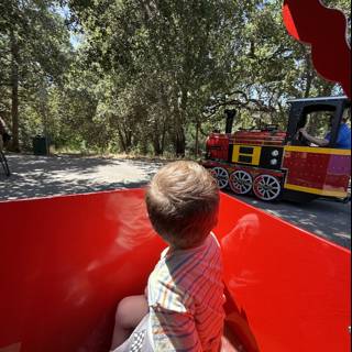 Summer Joyride in the Park