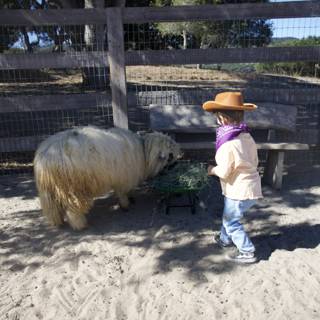 Ranch Adventures in Carmel Valley
