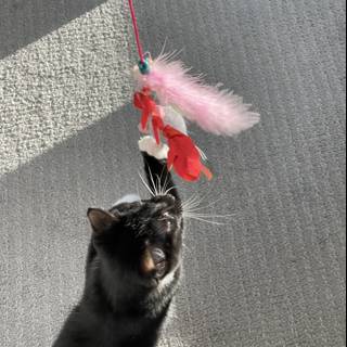 Feline Fun with Feather Boa Toy