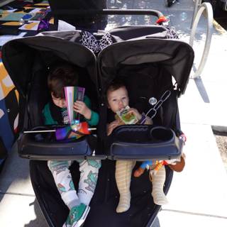Double Trouble on a Sunny Walk