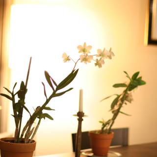 Artful Ikebana Arrangement