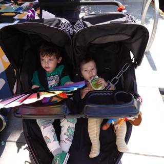 Stroller Adventures