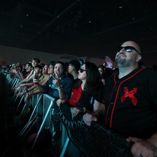 Electrified Crowd at Wobbleland 2026 Festival