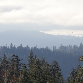 Misty Mountain Ridges Through Forest Haze