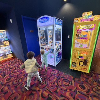 Children Playing Arcade Claw Machines in Game Room