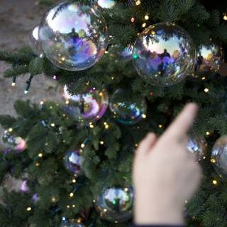 Reflective Wonders