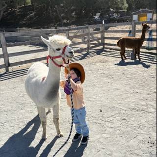 Little Wrangler's Day Out