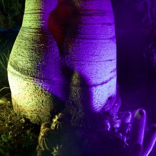 Enchanted Trunk in Purple Glow