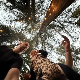 Under the Canopy of Giants