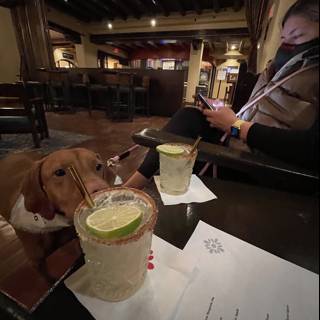 Table for One: A Canine's Happy Hour