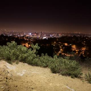 City Lights on a Hilltop