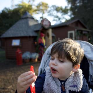 Curious Discoveries at Thistlewyck