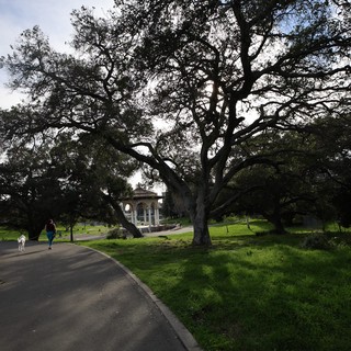 Twilight Walk Through Historic Park Grounds