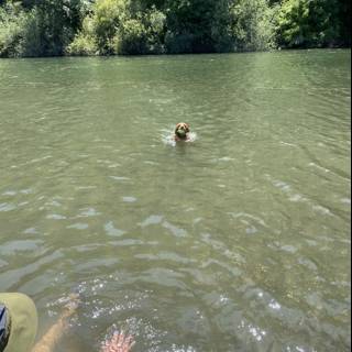 A Refreshing Dip in the Russian River
