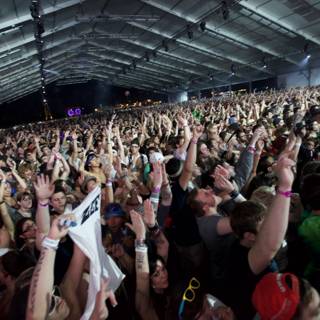 Hands Up in the Crowd at Coachella