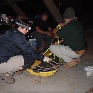 Nighttime Field Research Team Prepares Scientific Equipment