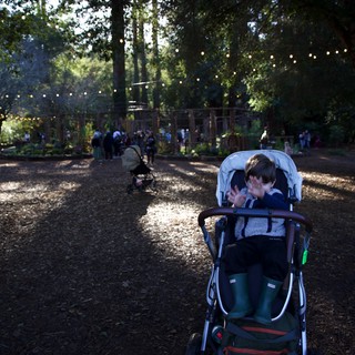 Community park or outdoor event venue