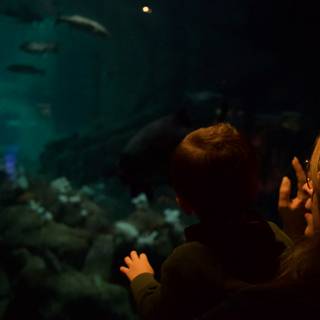 Exploring the Depths: A Family Day at Monterey Bay Aquarium