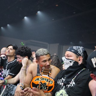 Festival Crowd Energy at Wobbleland 2026