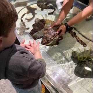 Curious Encounters with Ocean Life