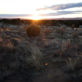 Desert Sunset Through Cholla Cacti and Sagebrush