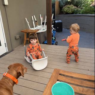 Backyard Adventures