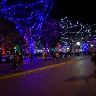 Colorful Lights Illuminate Santa Fe Plaza