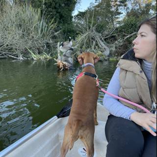 A Woman and Her Canine Companion in Stow Lake