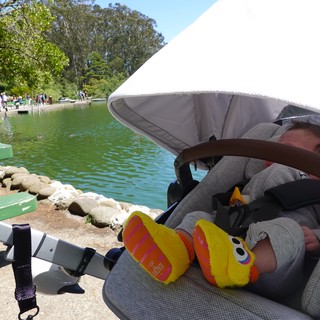 Baby in Stroller Enjoying Lakeside Park Day
