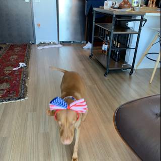 Patriot Pup in a Kitchen