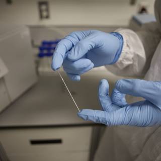 Examining a Sample in the Lab