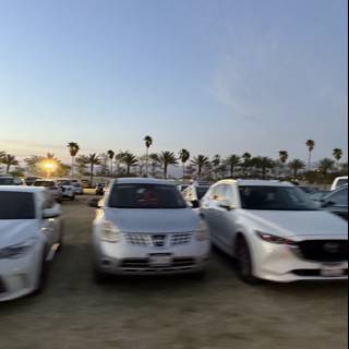 Twilight Parking in Indio
