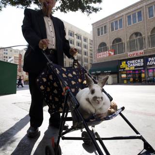 A Man and His Bunny Stroller