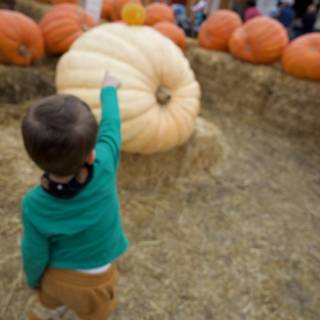 Autumn Wonders at the Pumpkin Patch