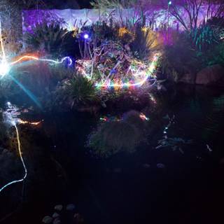 Enchanted Waters