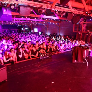DJ Ignites Massive Crowd at Wobbleland Festival 2026