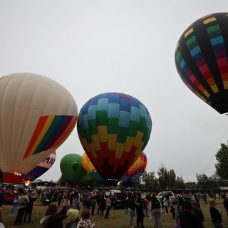 Colorful Hot Air Balloons Rise at Sonoma County Classic