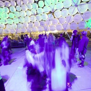 Purple Haze at Coachella Dome