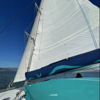 Sailing on the Bay