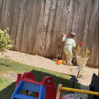 Summer Adventures in the Backyard