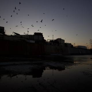 Silhouetted Flock Soars Over Polluted Waters at Sunset