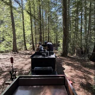 Journey through the Redwoods
